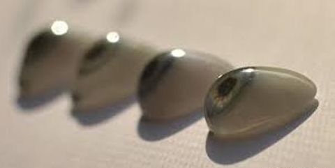 153404968.jpg 9b8e0ed1cde34f009dc93aa2766d1cd5.jpg